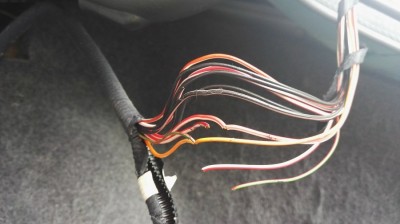 IMG_20170627_121954.jpg