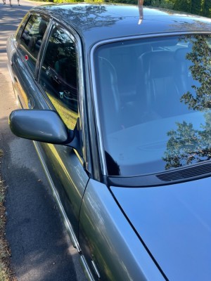 IMG_1037.JPG