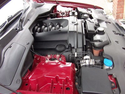 DSCF1493.JPG