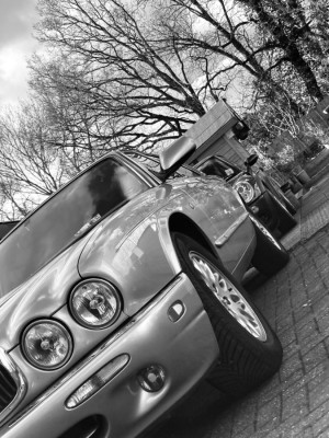 IMG_5594.jpeg