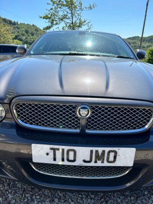 IMG_0503.jpeg