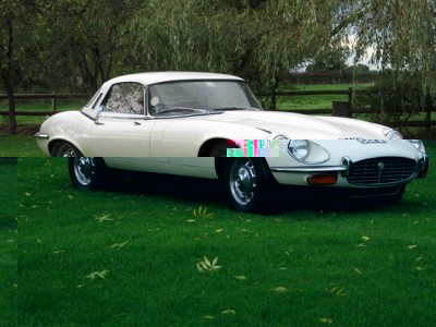 Jaguar, front quarter view.jpg