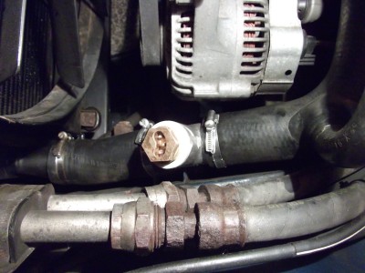 DSCF1178.JPG
