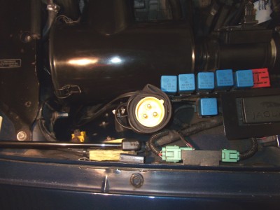 DSCF1193.JPG