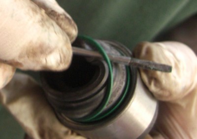 Jagcare 08.04.10 151.JPG