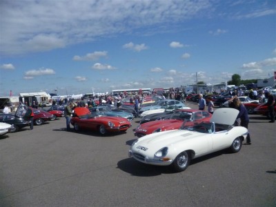 E-Types to infinity and beyond! (Large).JPG