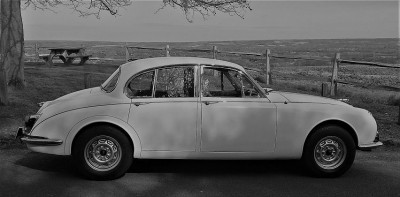 20170317_112318 (2) - Copy - Copy.jpg