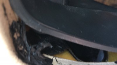 QDCM9621.JPG