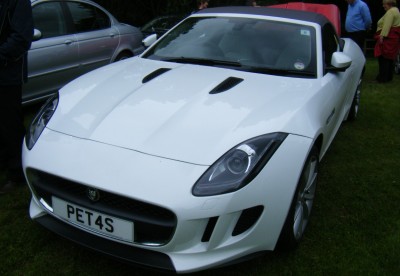 NewbyFType.jpg