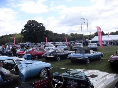 E-Types at Southern Day (Large).JPG
