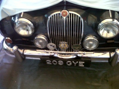 Grill & front bumper.jpg