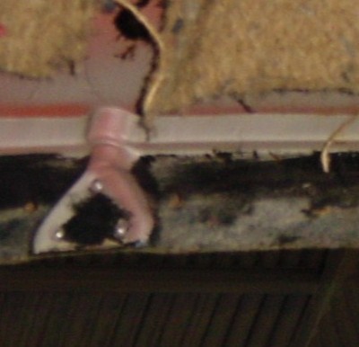 DSC00106.JPG