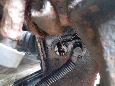 20200816_170630[1].jpg