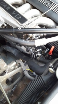 20200830_195258.jpg
